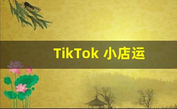 TikTok 小店运营任职要求